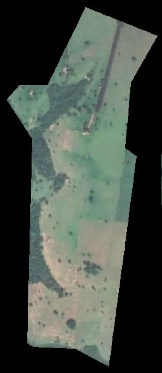 Sítio à venda de 45 ha em Tanabi, SP, Brasil