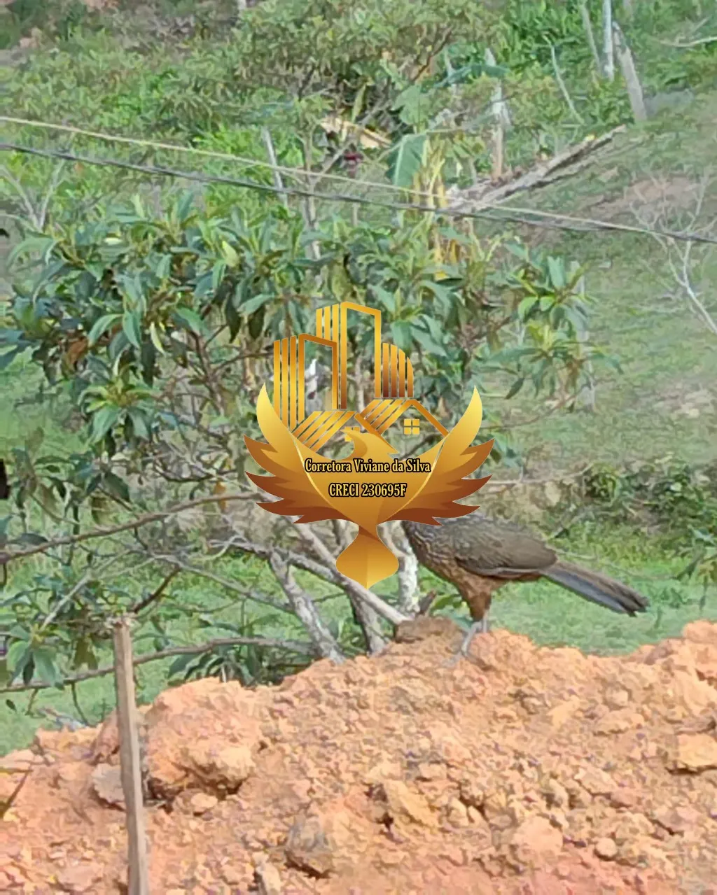 Sítio à venda de 2 ha em Tremembé, SP, Brasil