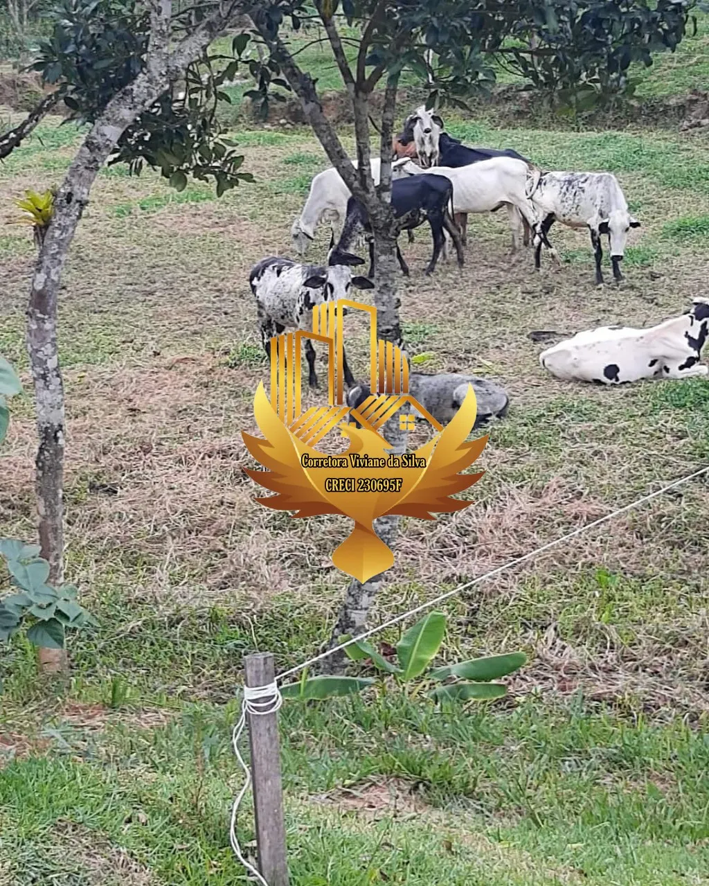 Sítio à venda de 2 ha em Tremembé, SP, Brasil