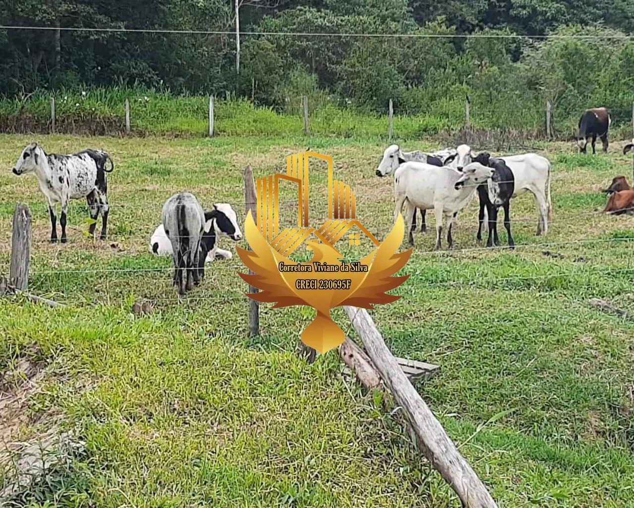 Sítio à venda de 2 ha em Tremembé, SP, Brasil