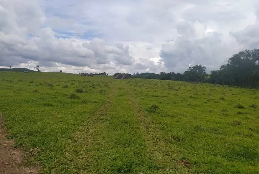 Farm for sale of 281 acres in Paranapanema, SP, Brazil