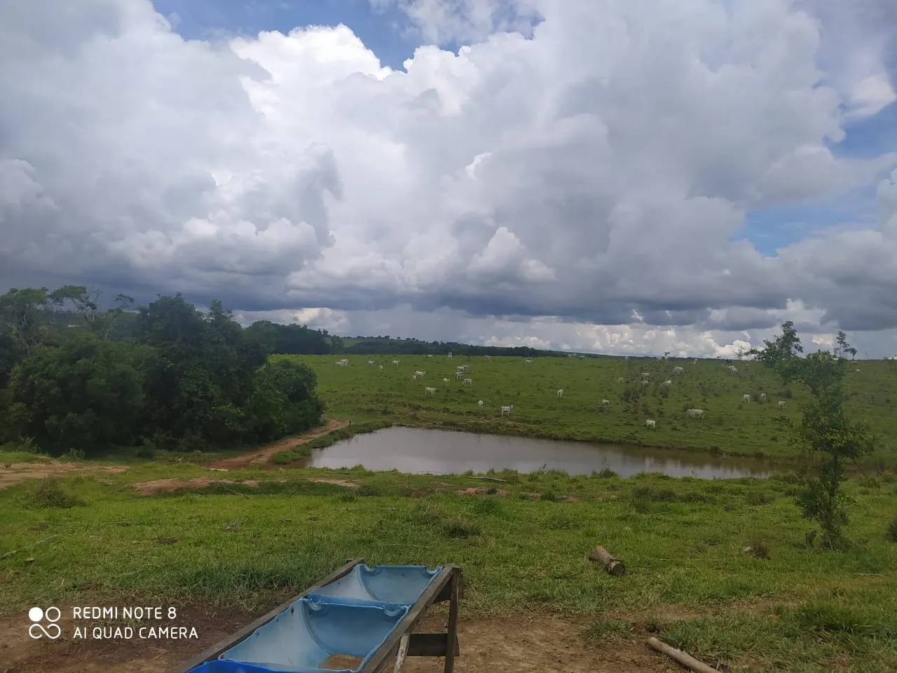 Farm for sale of 281 acres in Paranapanema, SP, Brazil