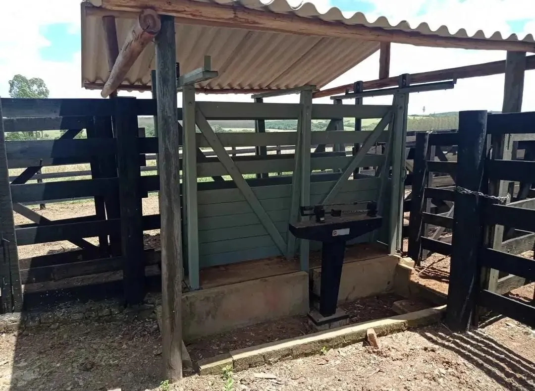 Farm for sale of 281 acres in Paranapanema, SP, Brazil
