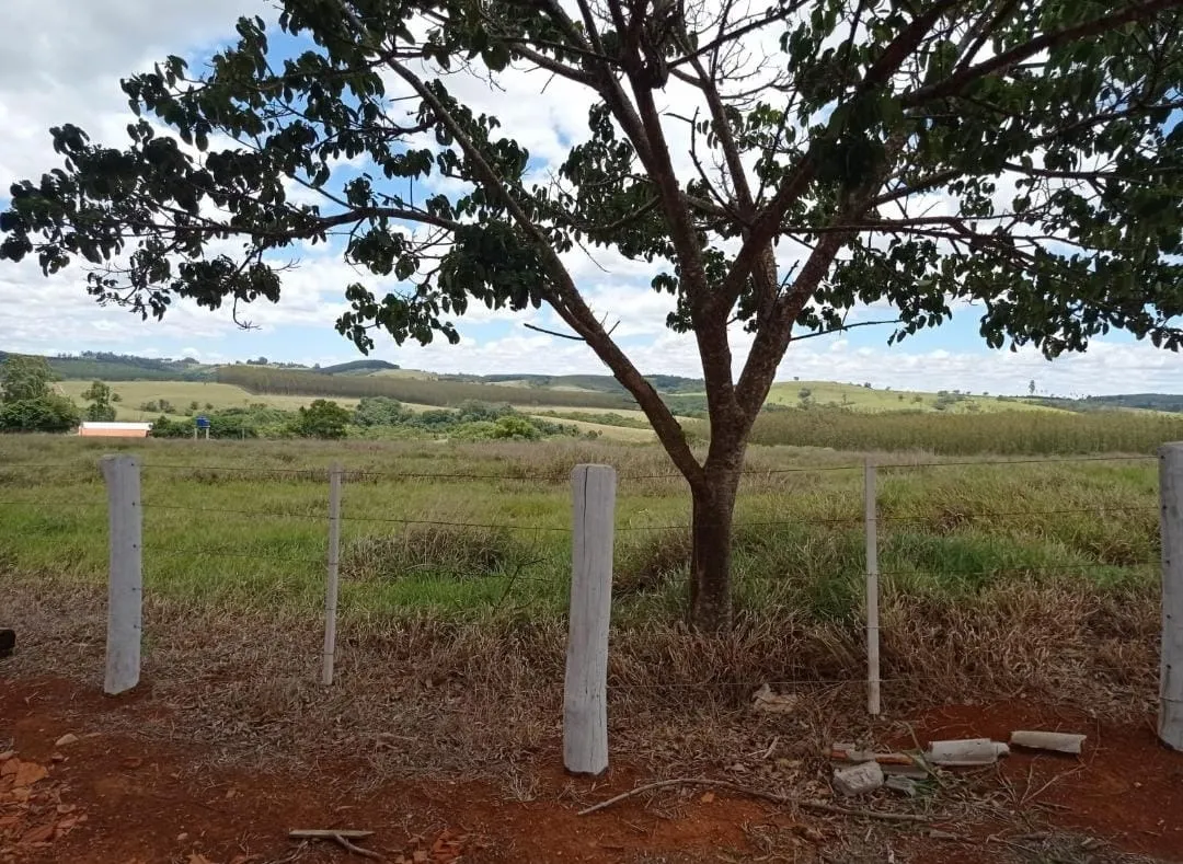 Farm for sale of 281 acres in Paranapanema, SP, Brazil
