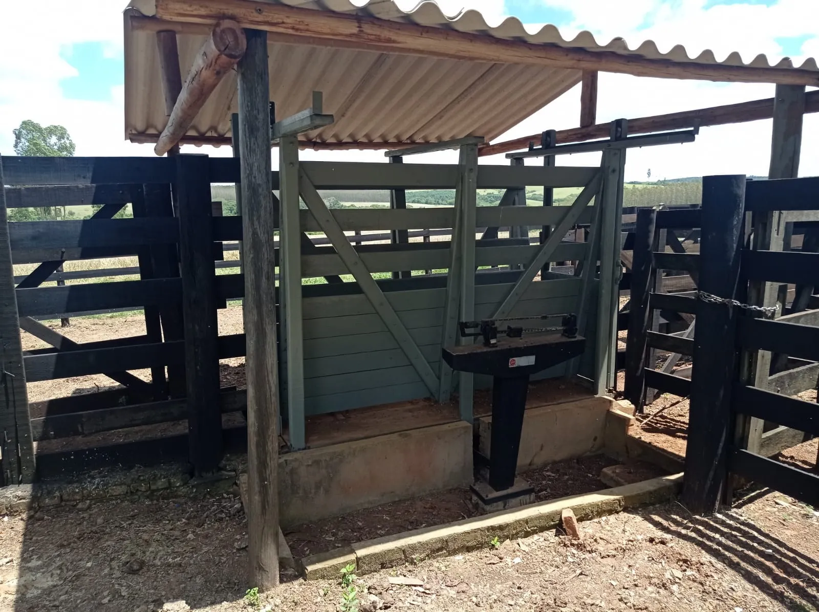 Farm for sale of 281 acres in Paranapanema, SP, Brazil