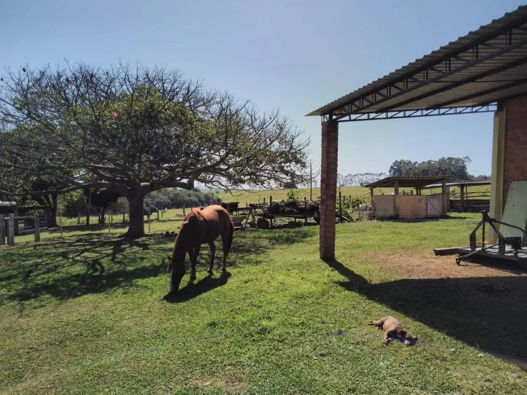 Farm for sale of 281 acres in Paranapanema, SP, Brazil