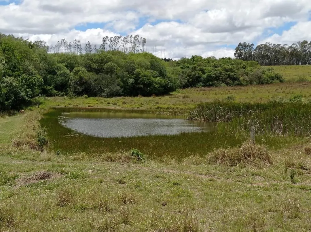 Farm for sale of 281 acres in Paranapanema, SP, Brazil