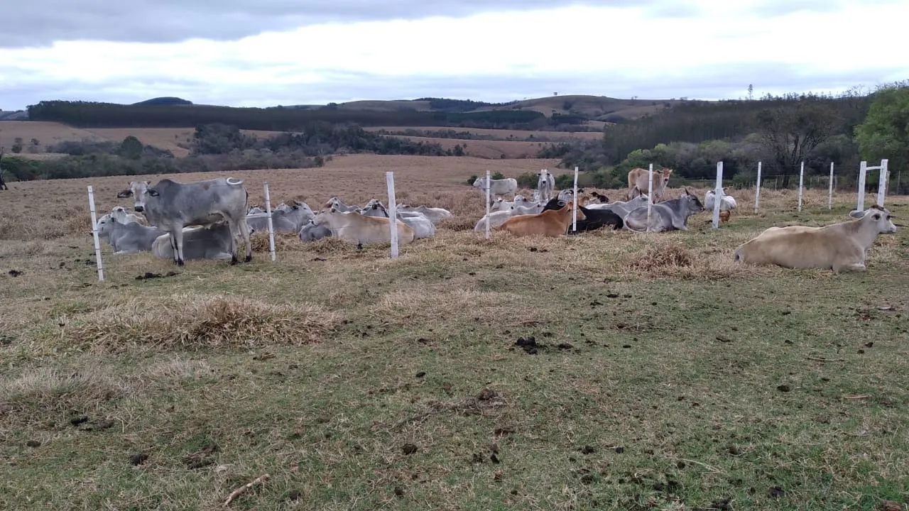 Farm for sale of 281 acres in Paranapanema, SP, Brazil