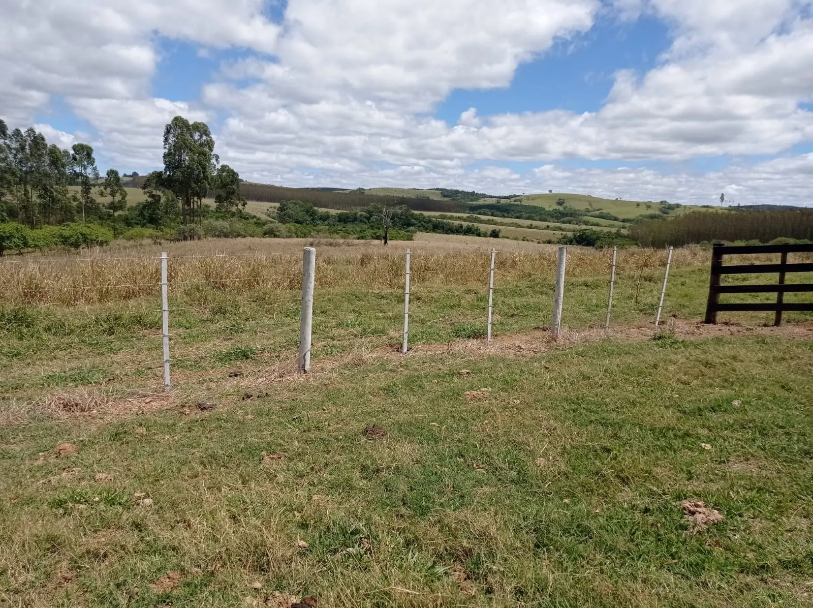 Farm for sale of 281 acres in Paranapanema, SP, Brazil