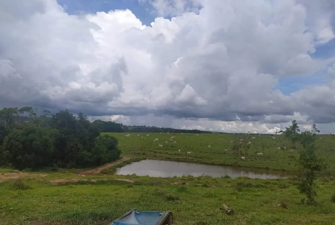 Farm for sale of 281 acres in Paranapanema, SP, Brazil