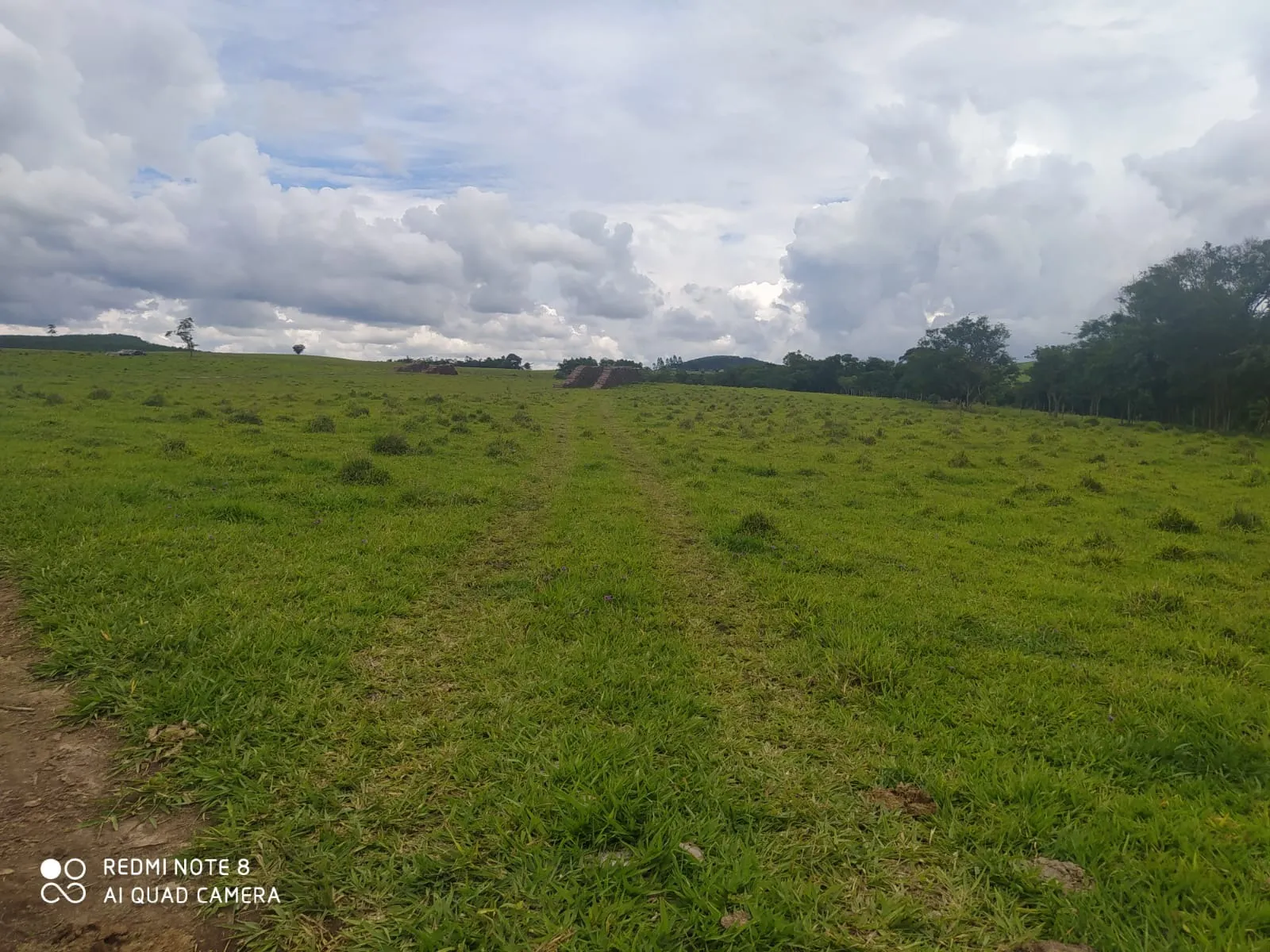Farm for sale of 281 acres in Paranapanema, SP, Brazil