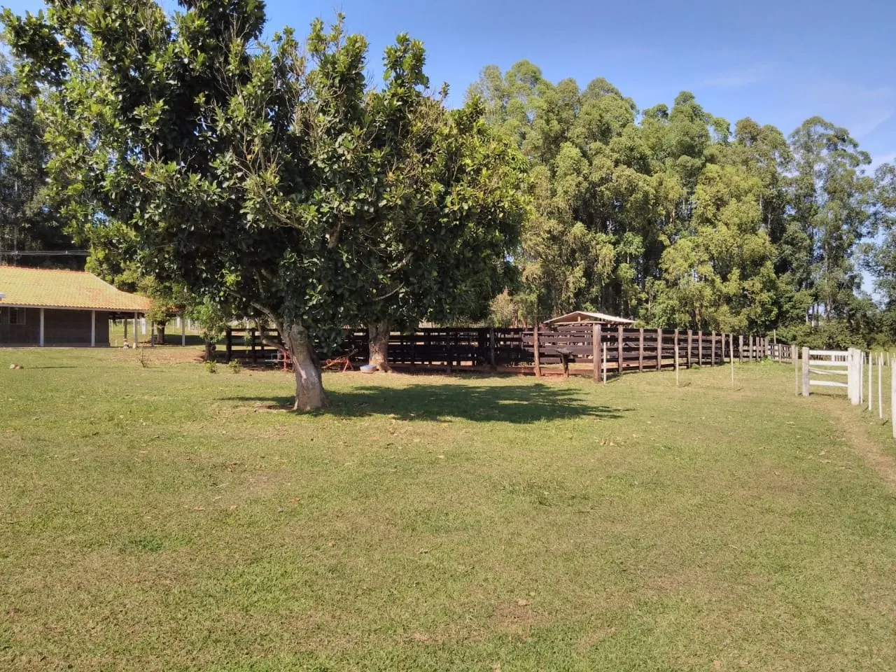 Fazenda à venda de 114 ha em Paranapanema, SP, Brasil