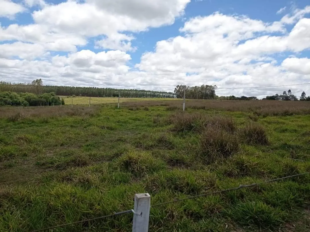 Farm for sale of 281 acres in Paranapanema, SP, Brazil