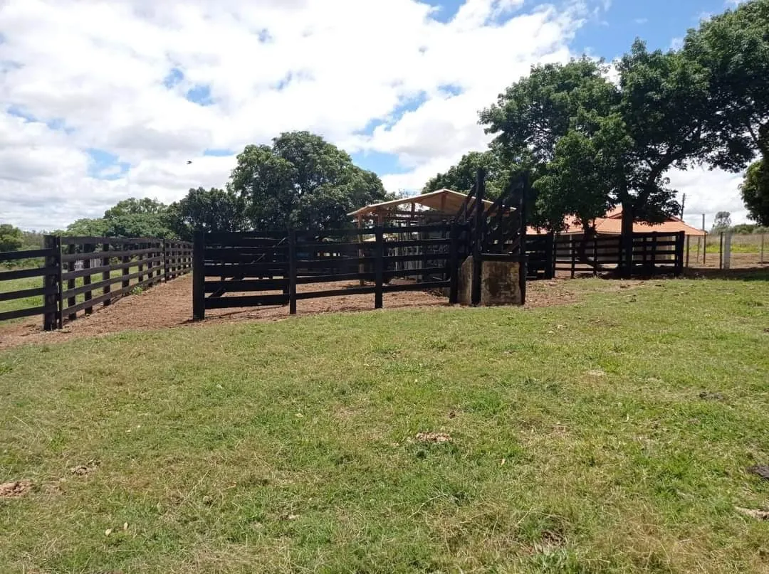 Farm for sale of 281 acres in Paranapanema, SP, Brazil