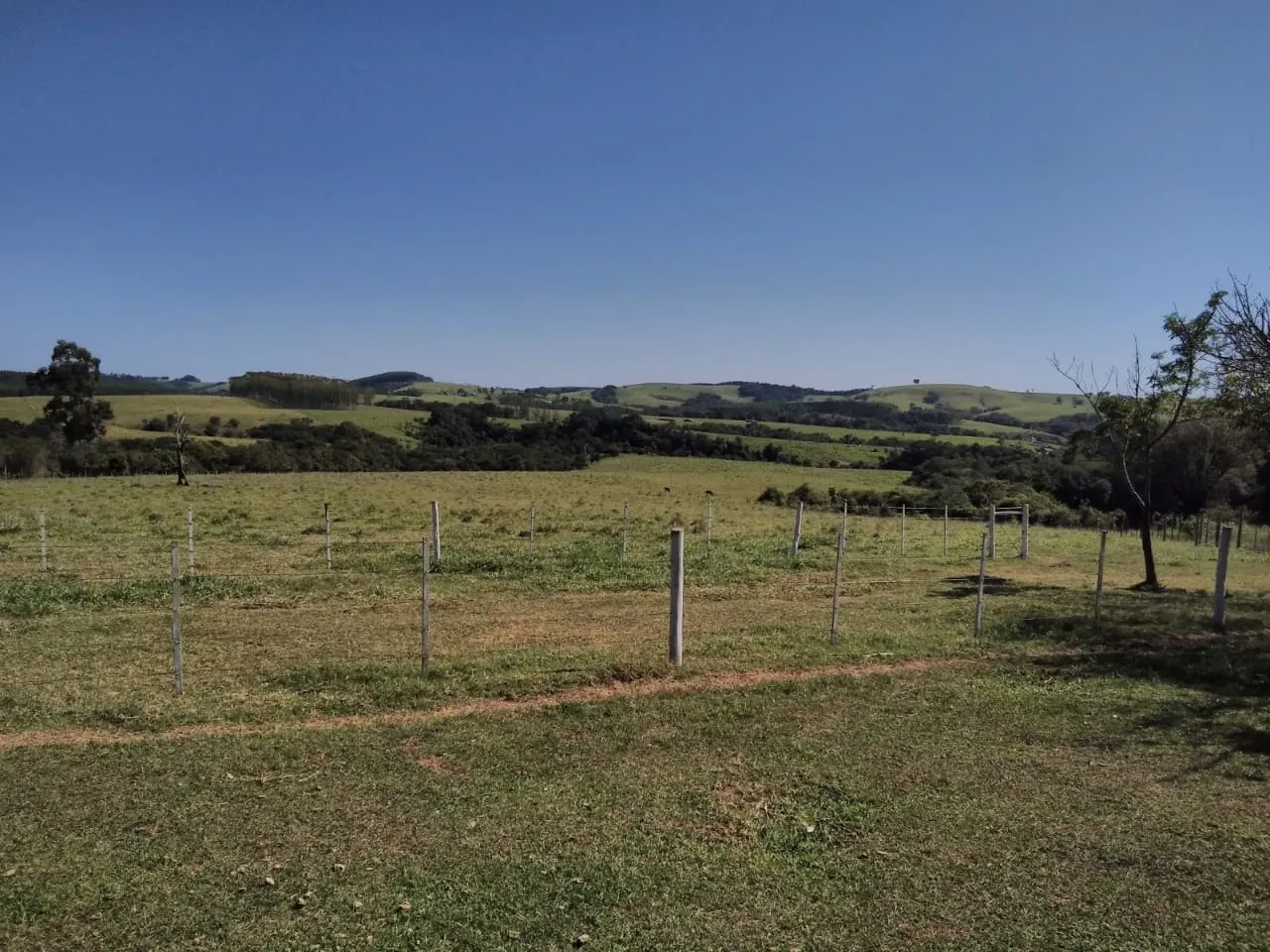 Farm for sale of 281 acres in Paranapanema, SP, Brazil