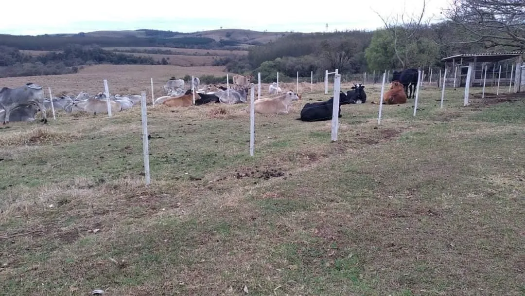 Farm for sale of 281 acres in Paranapanema, SP, Brazil