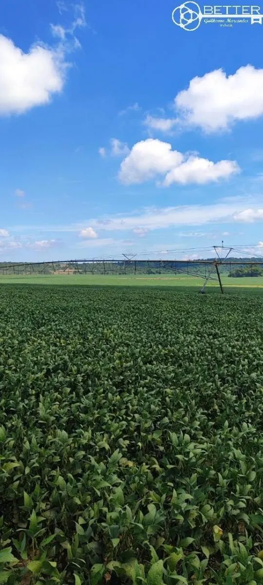 Fazenda à venda de 497 ha em Paranapanema, SP, Brasil