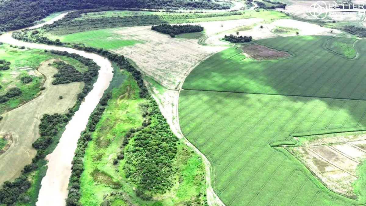 Fazenda à venda de 497 ha em Paranapanema, SP, Brasil
