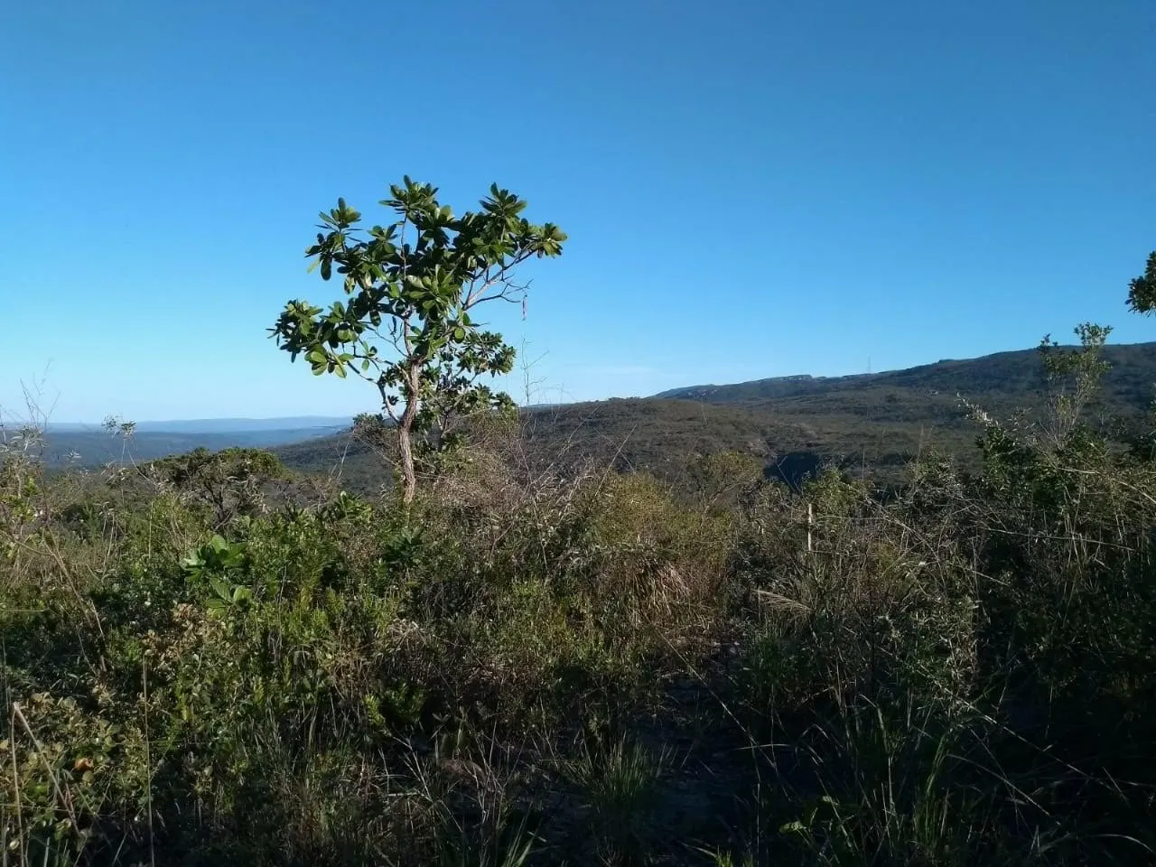 Plot for sale of 1,000 m² in Lençóis, BA, Brazil