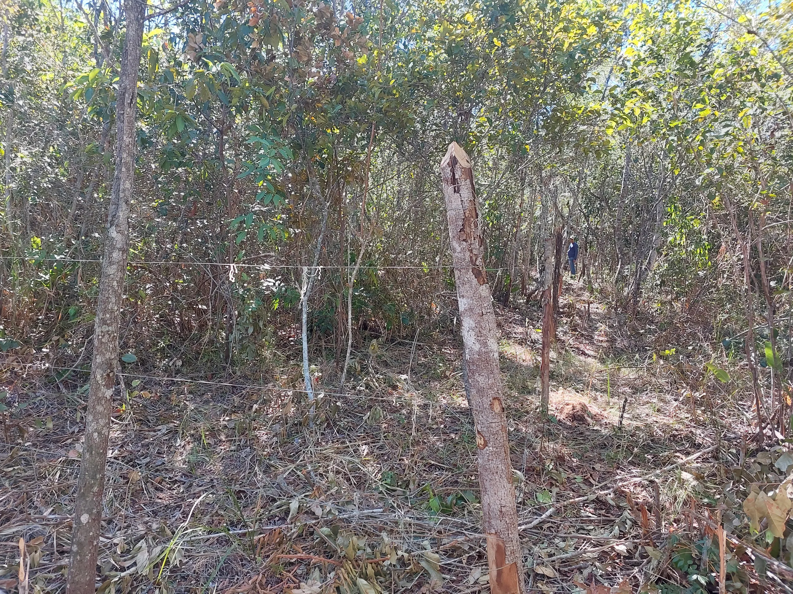 Plot for sale of 1,000 m² in Lençóis, BA, Brazil