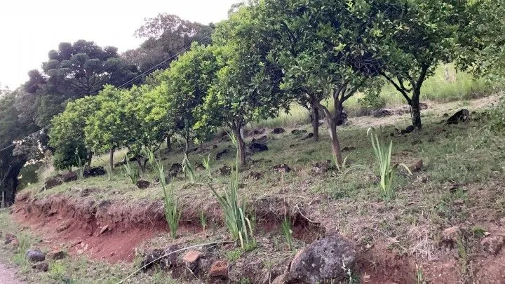 Chácara à venda de 6 ha em Riozinho, RS, Brasil