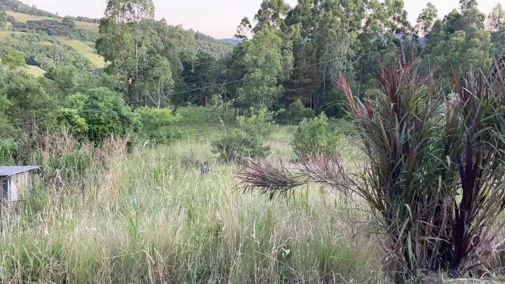 Chácara à venda de 6 ha em Riozinho, RS, Brasil