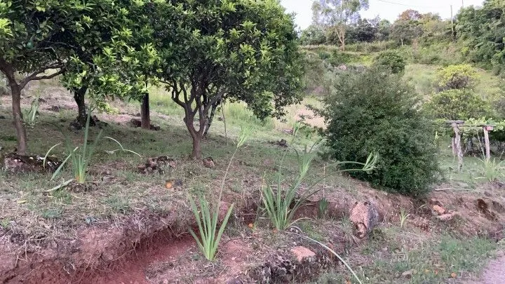 Chácara à venda de 6 ha em Riozinho, RS, Brasil