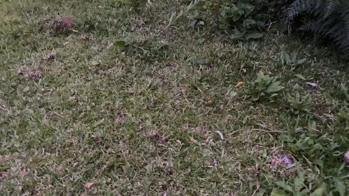 Chácara à venda de 6 ha em Riozinho, RS, Brasil