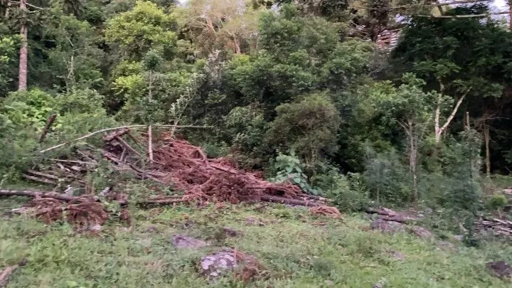 Chácara à venda de 6 ha em Riozinho, RS, Brasil