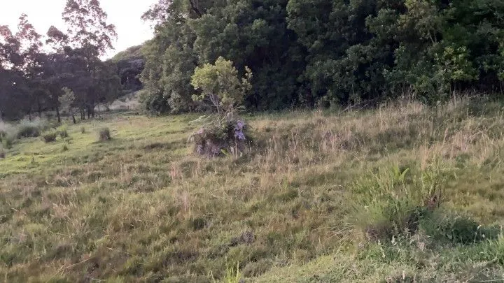 Chácara à venda de 6 ha em Riozinho, RS, Brasil