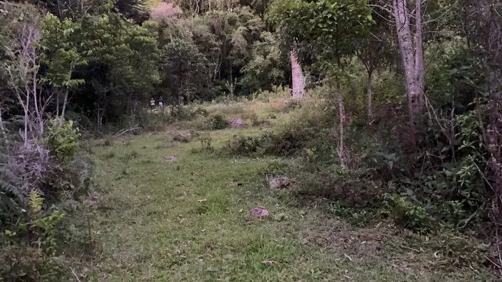 Chácara à venda de 6 ha em Riozinho, RS, Brasil