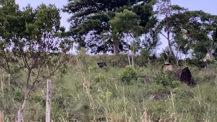 Chácara à venda de 6 ha em Riozinho, RS, Brasil