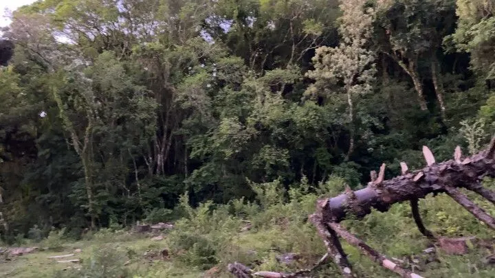 Chácara à venda de 6 ha em Riozinho, RS, Brasil