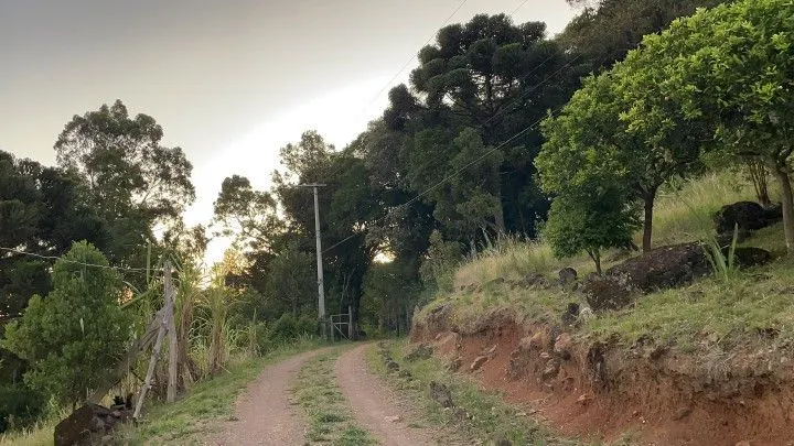 Chácara à venda de 6 ha em Riozinho, RS, Brasil