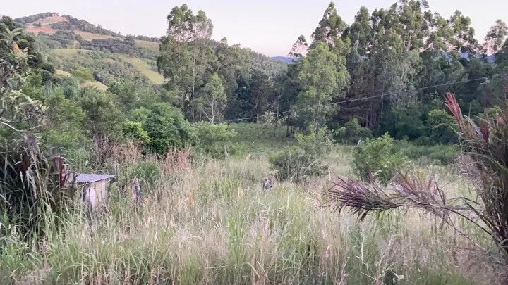 Chácara à venda de 6 ha em Riozinho, RS, Brasil