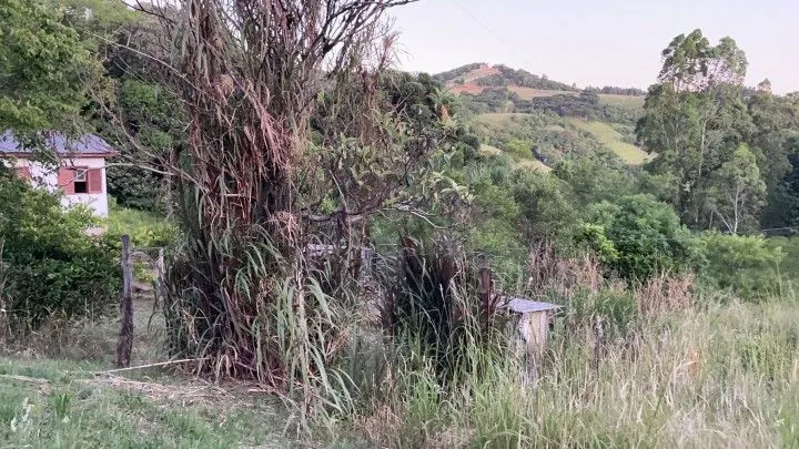Chácara à venda de 6 ha em Riozinho, RS, Brasil