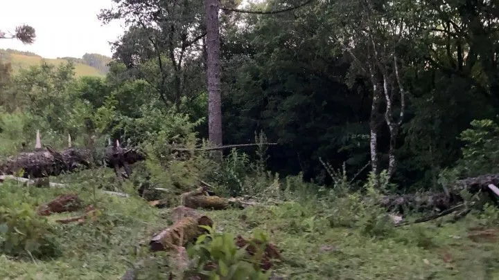 Chácara à venda de 6 ha em Riozinho, RS, Brasil