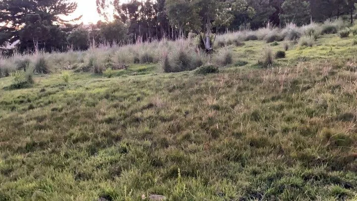 Chácara à venda de 6 ha em Riozinho, RS, Brasil