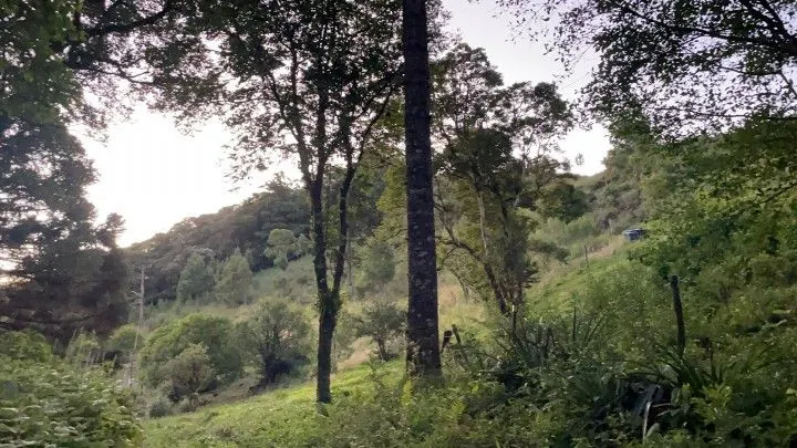 Chácara à venda de 6 ha em Riozinho, RS, Brasil