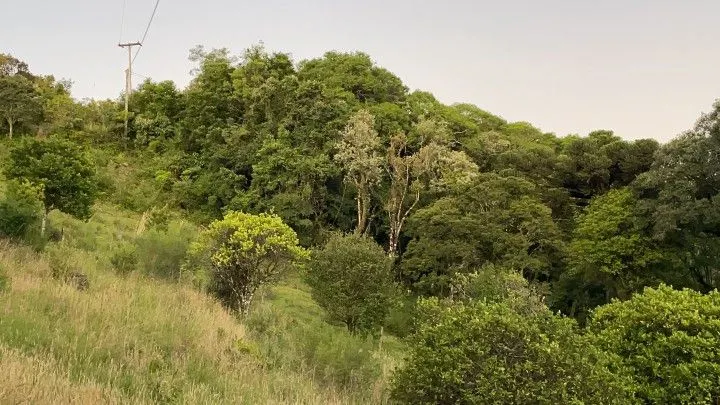 Chácara à venda de 6 ha em Riozinho, RS, Brasil