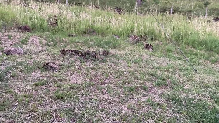 Chácara à venda de 6 ha em Riozinho, RS, Brasil
