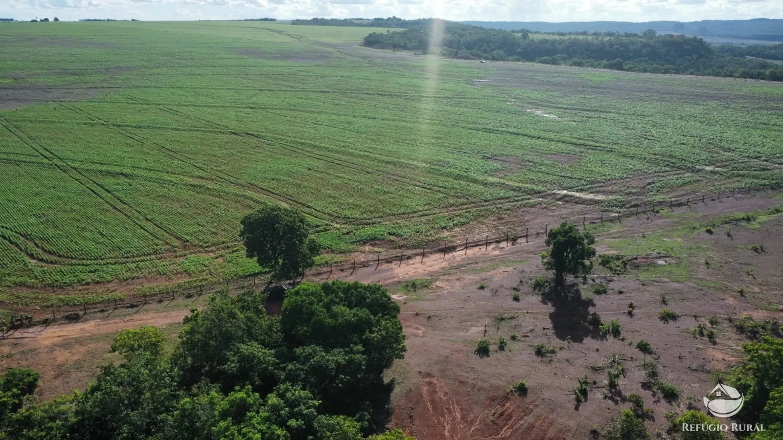 Fazenda à venda de 2.300 ha em Pedro Gomes, MS, Brasil