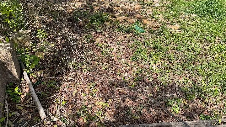 Chácara à venda de 1 ha em Santo Antônio da Patrulha, RS, Brasil