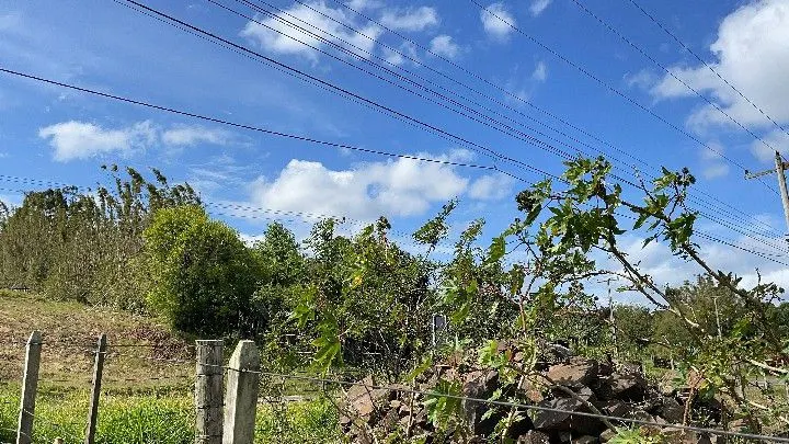 Chácara à venda de 1 ha em Santo Antônio da Patrulha, RS, Brasil