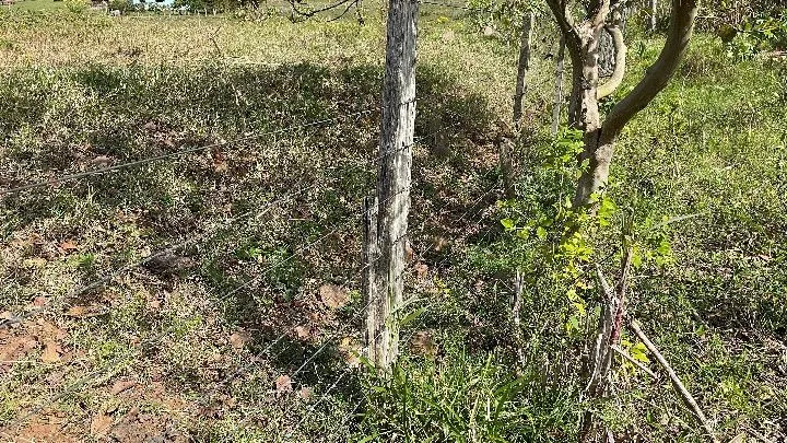 Chácara à venda de 1 ha em Santo Antônio da Patrulha, RS, Brasil