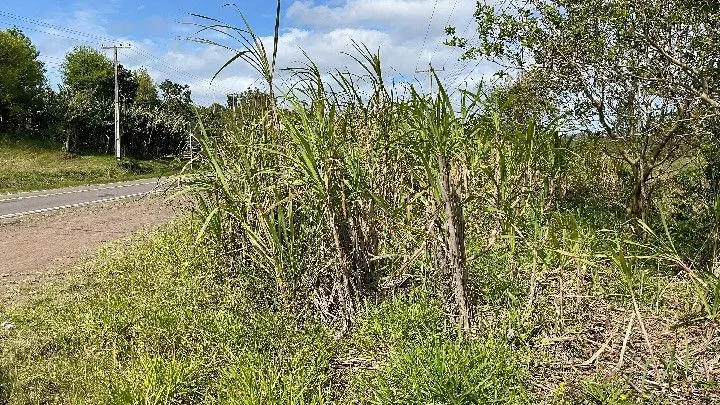 Chácara à venda de 1 ha em Santo Antônio da Patrulha, RS, Brasil