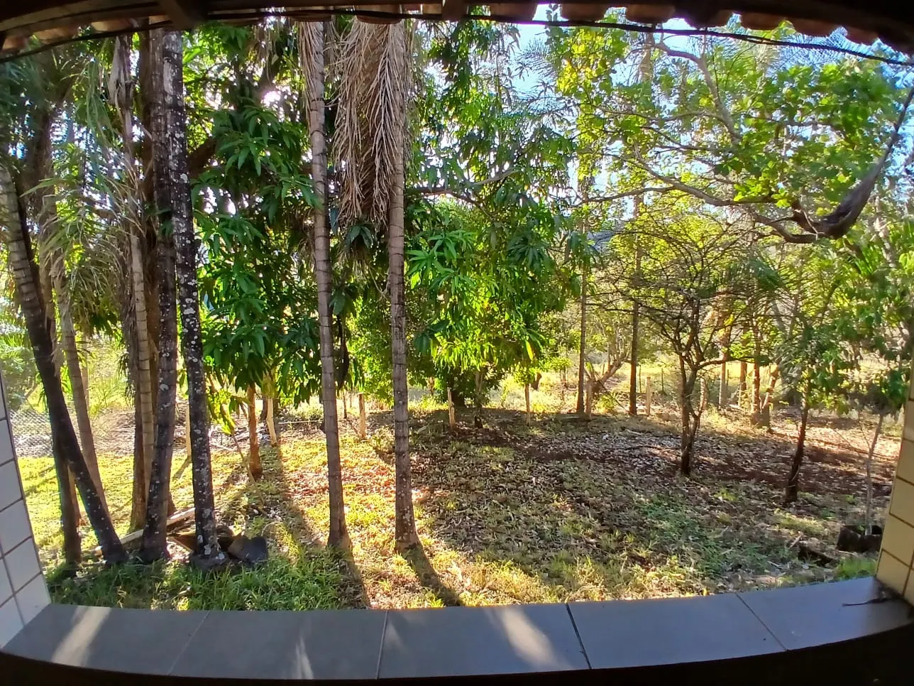 Sítio à venda de 15 ha em Uberlândia, MG, Brasil