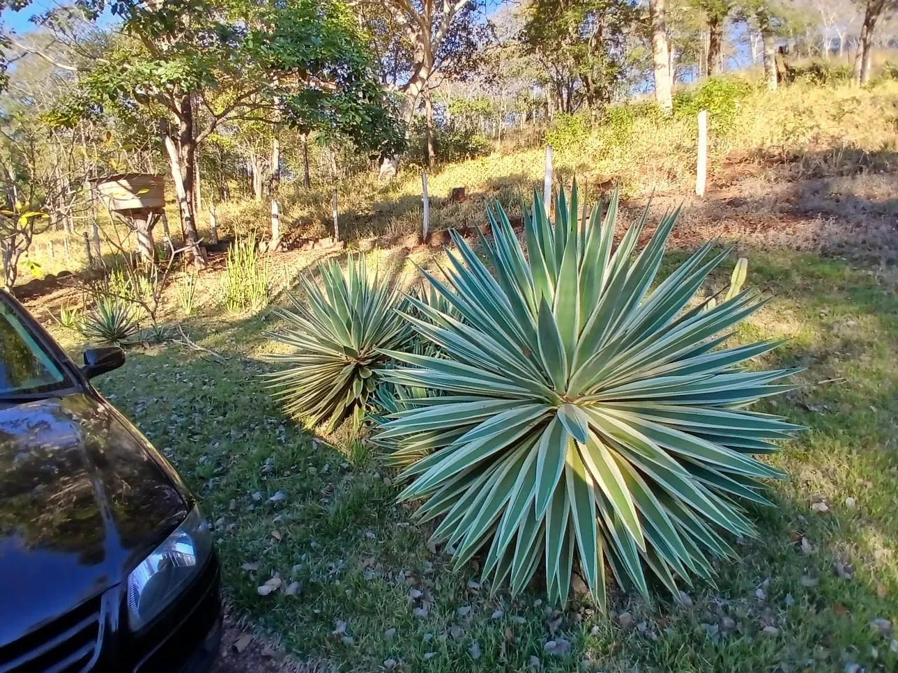 Sítio à venda de 15 ha em Uberlândia, MG, Brasil