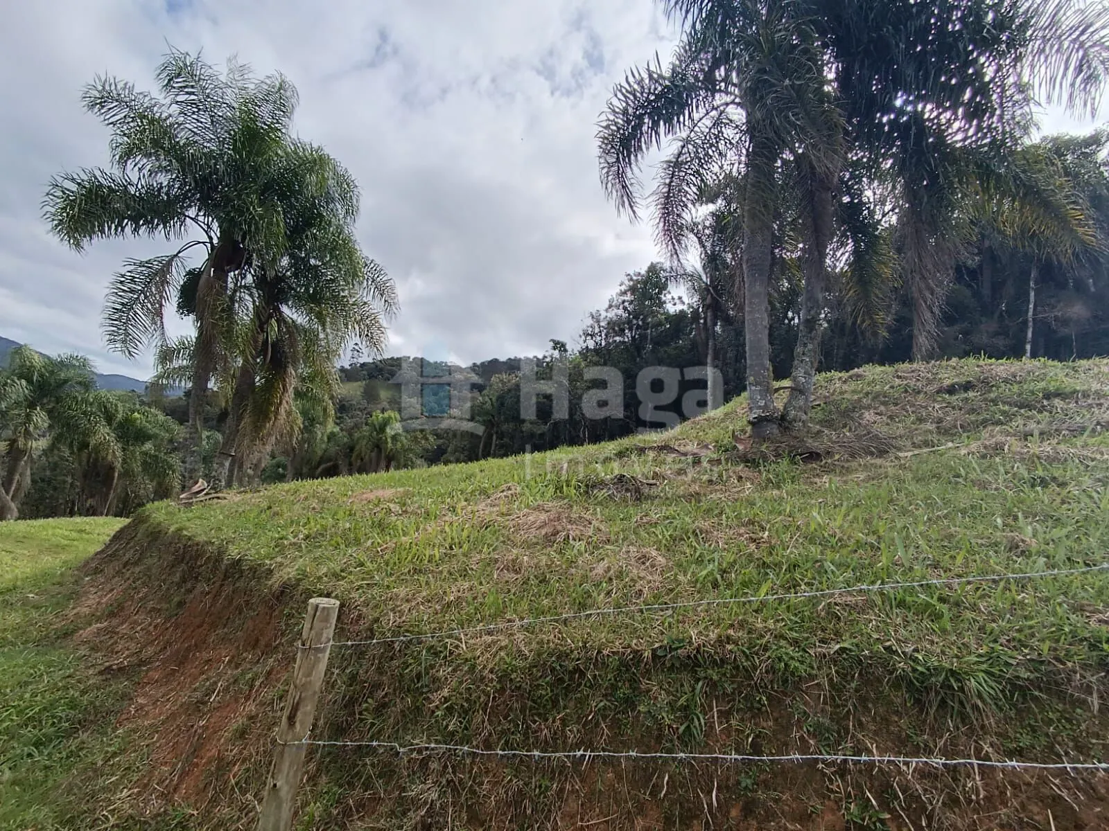 Farm for sale of 5 acres in Angelina, SC, Brazil