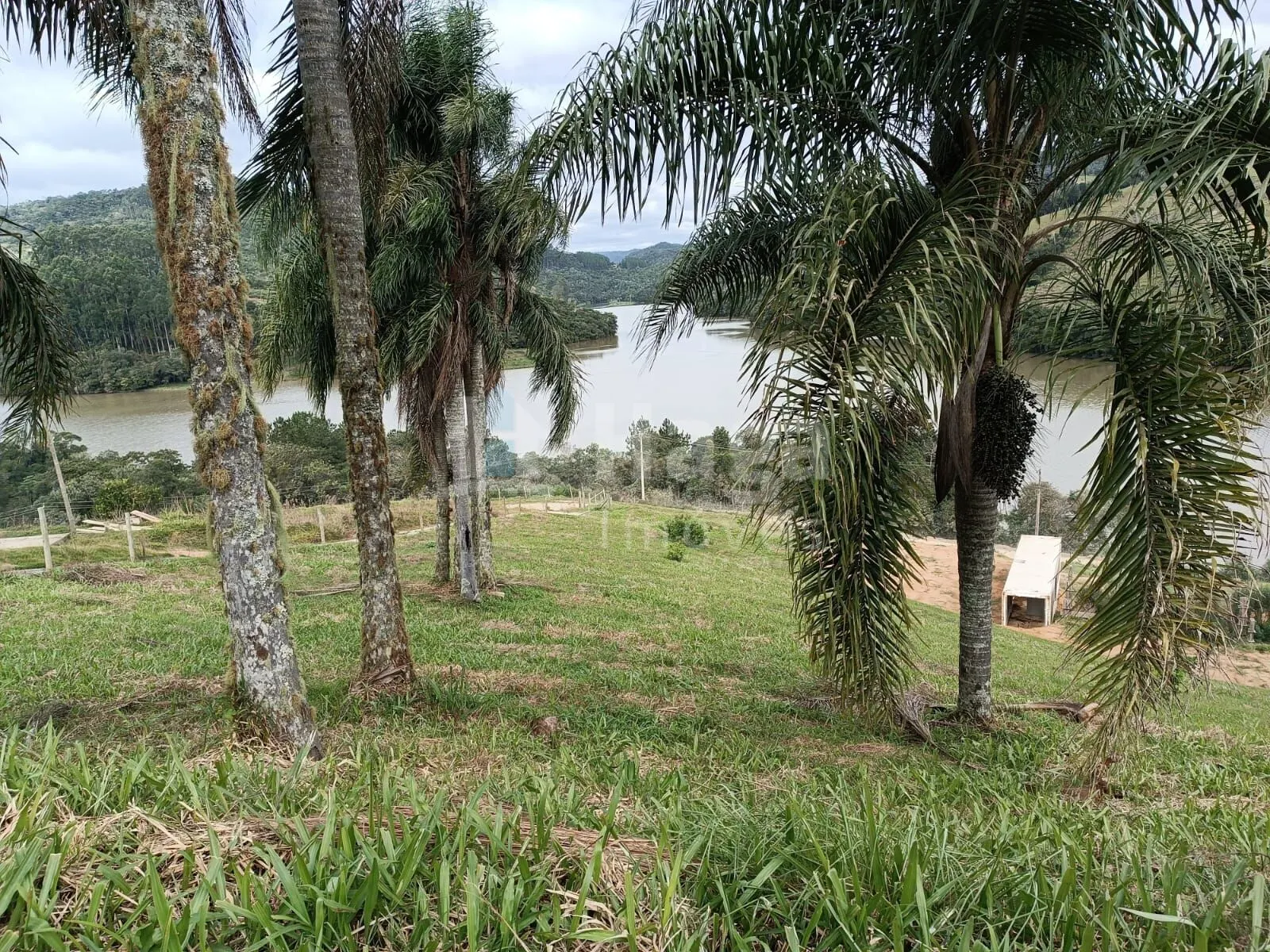 Farm for sale of 5 acres in Angelina, SC, Brazil
